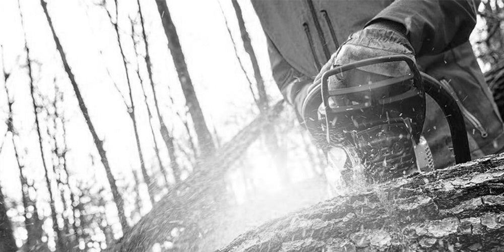 Bucheron - Forestier