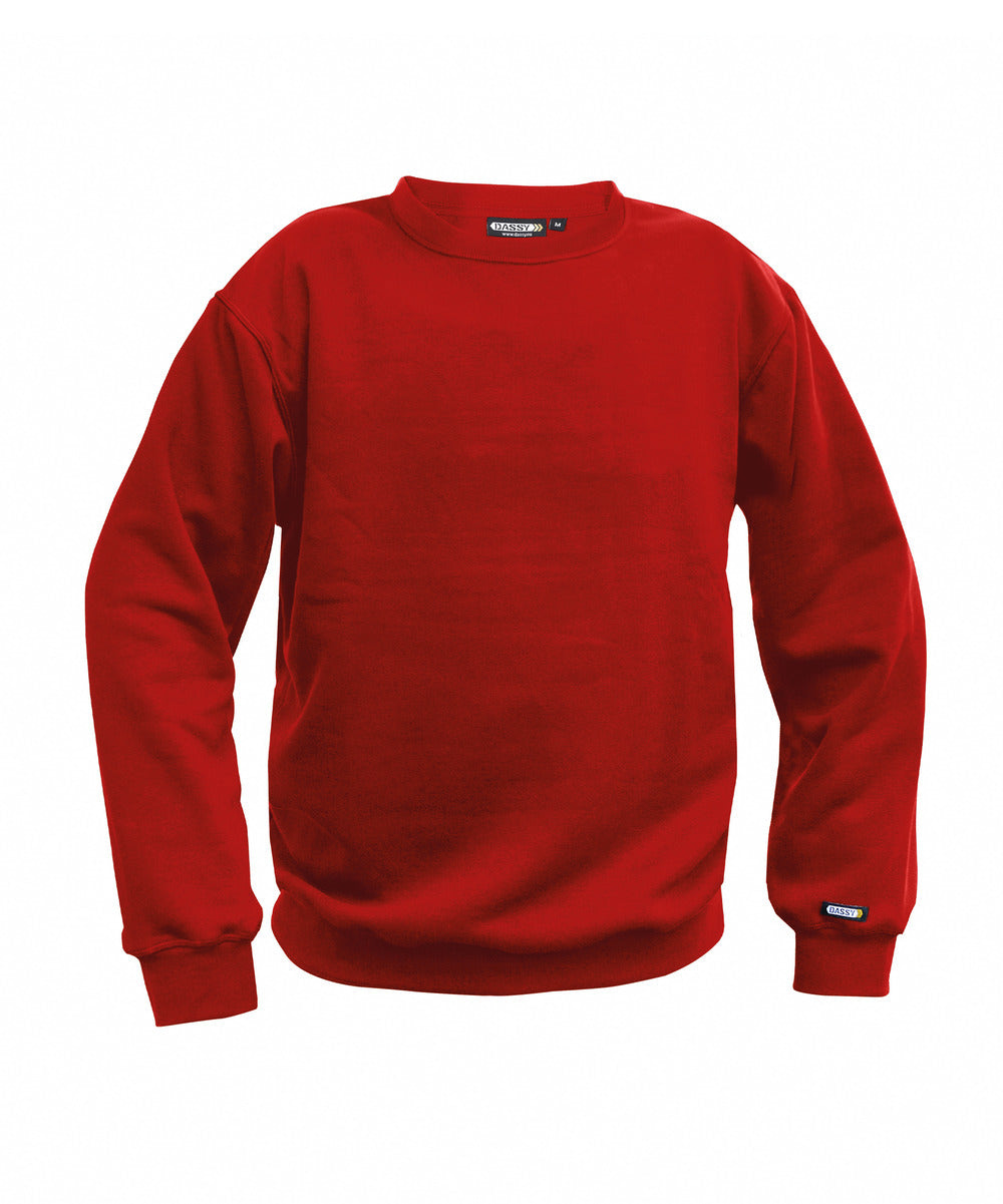 Sweatshirt bicolore - LIONEL