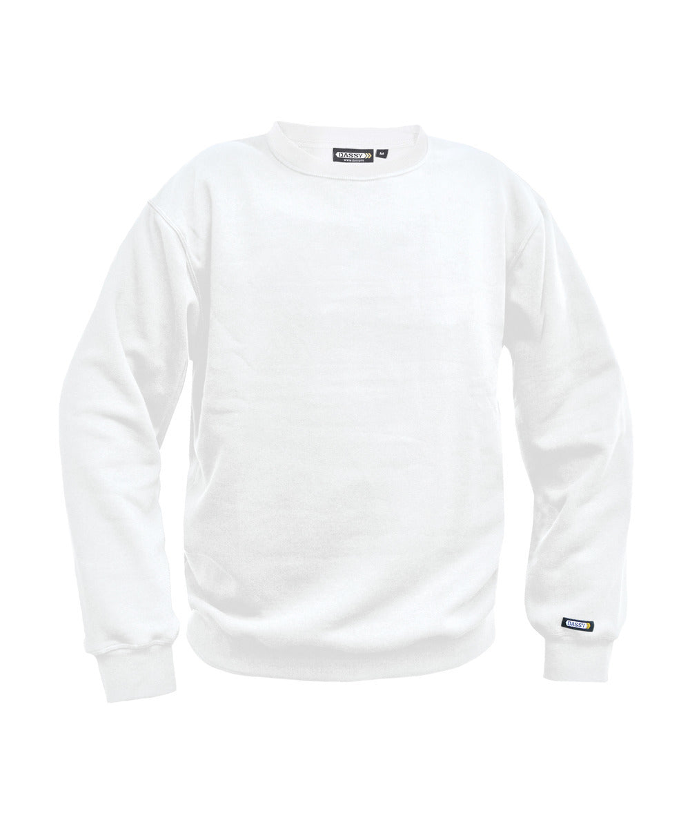 Sweatshirt bicolore - LIONEL